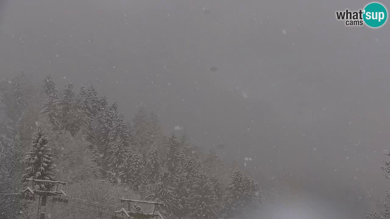 Estación de esquí Kranjska Gora | Velika Dolina