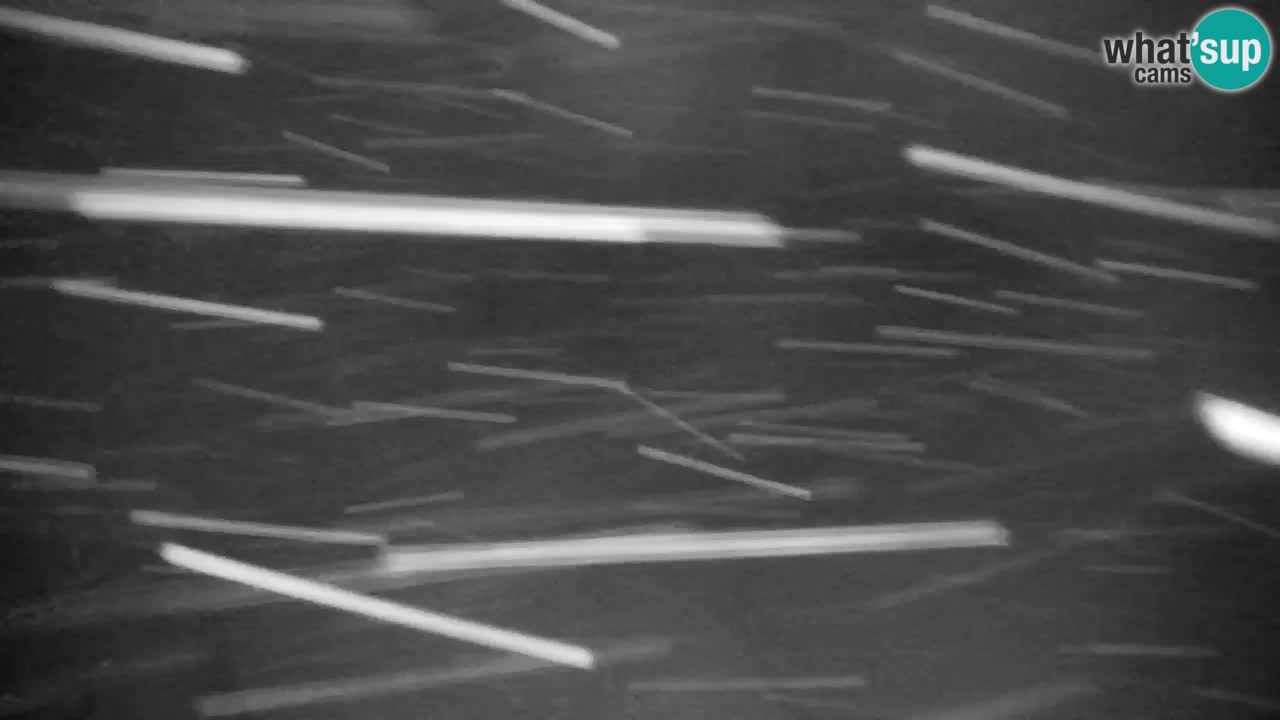 Ski Kranjska Gora | Velika Dolina