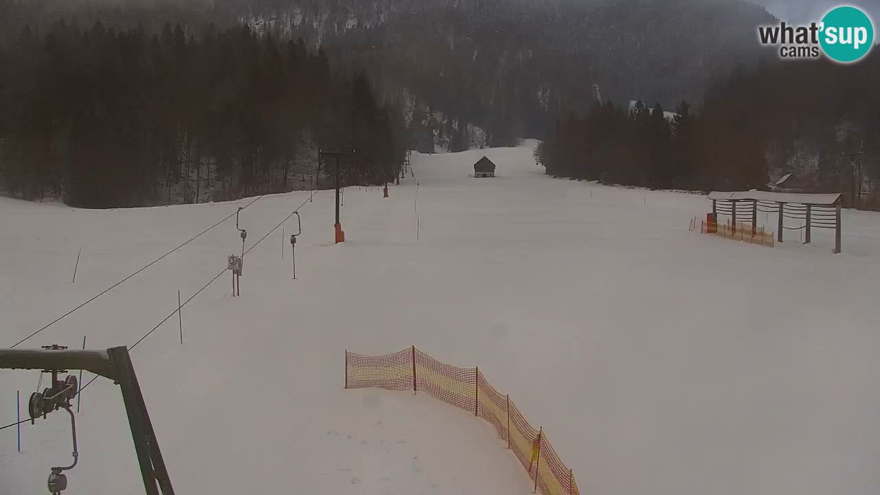 Ski Kranjska Gora | Velika Dolina