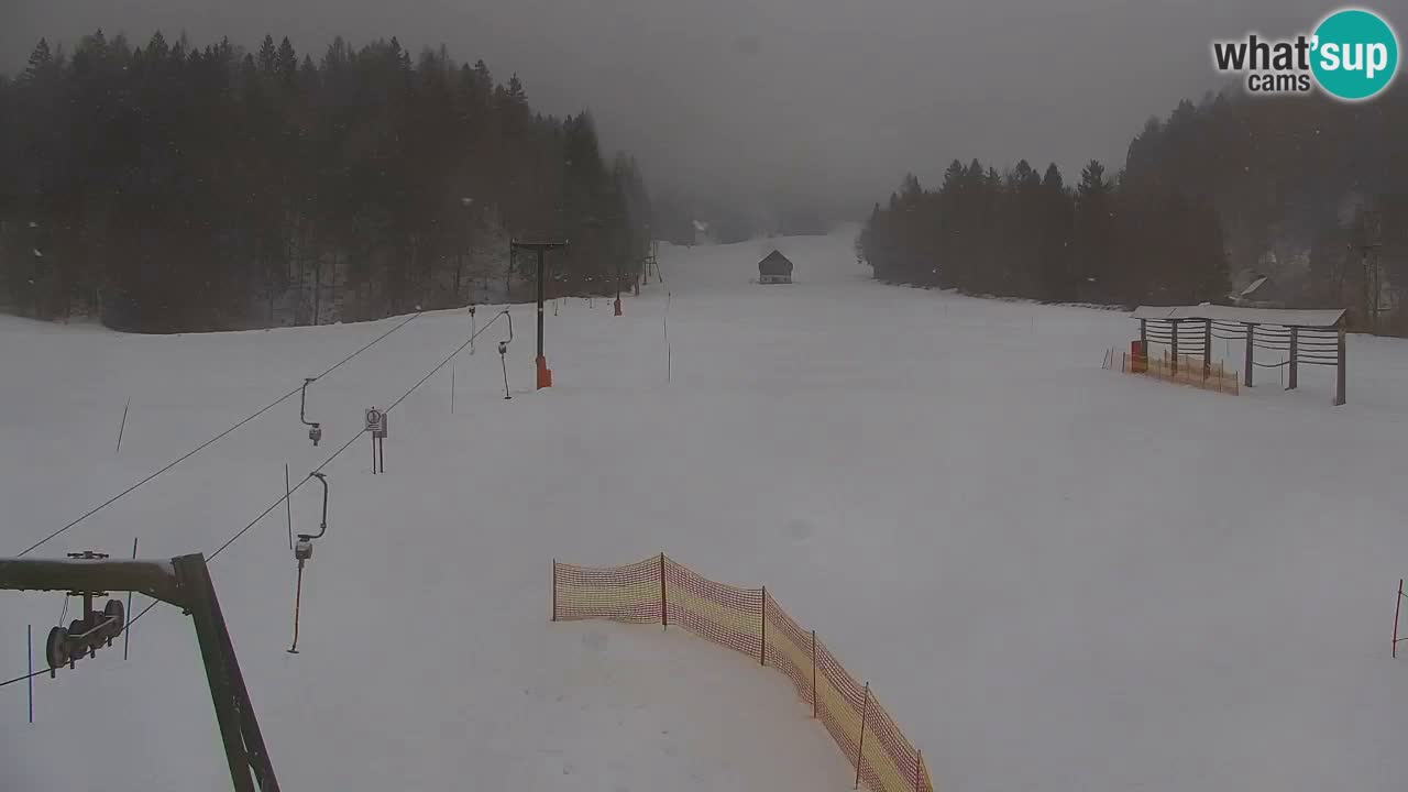 RTC Kranjska Gora | Velika Dolina