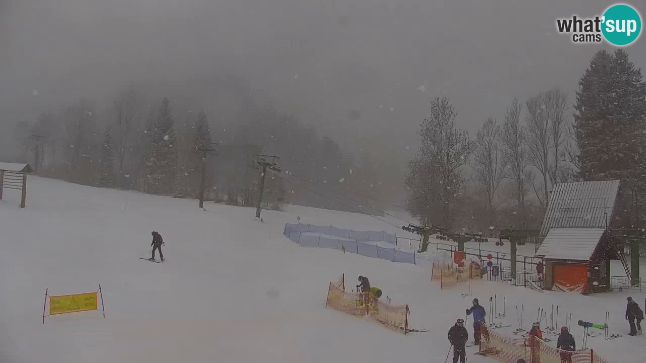 Skijanje Kranjska Gora | Velika Dolina