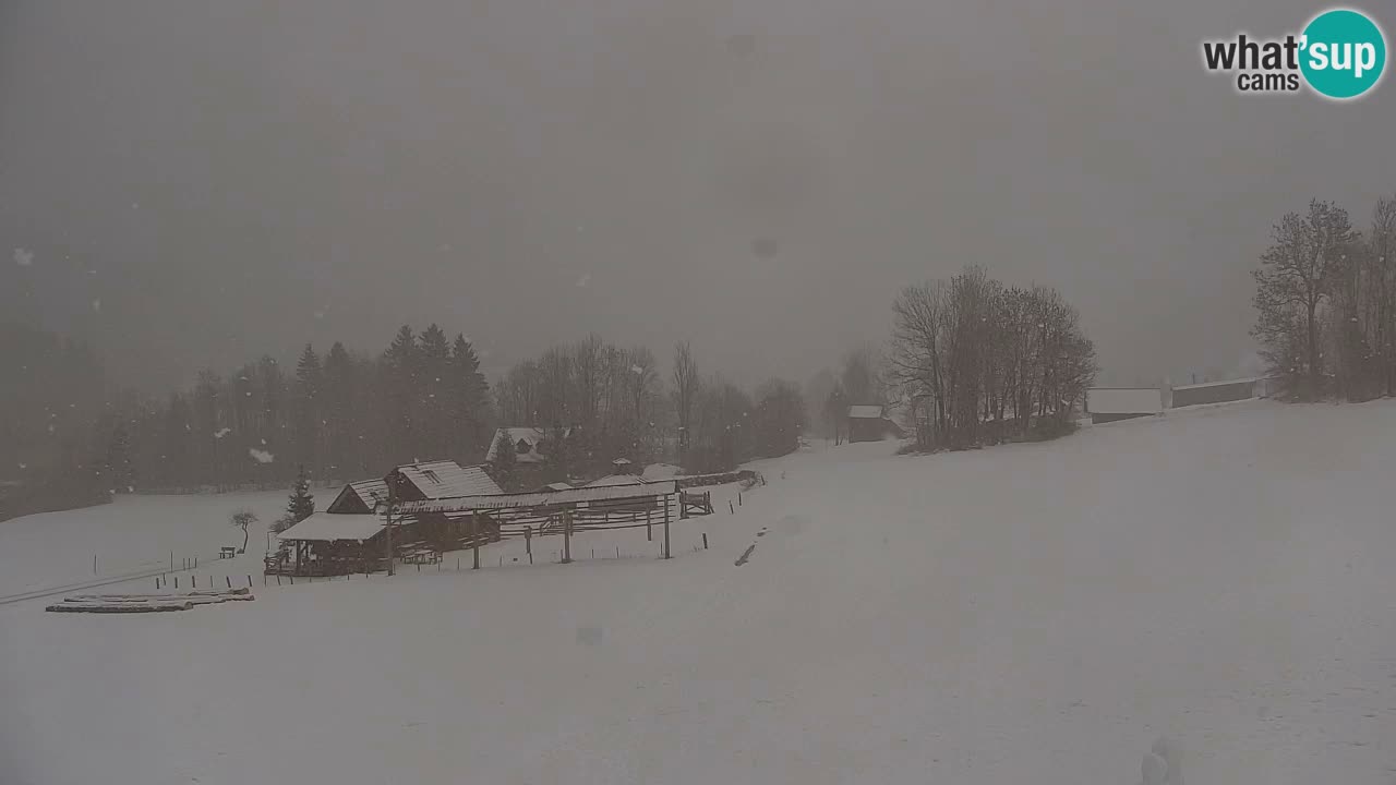 RTC Kranjska Gora | Velika Dolina
