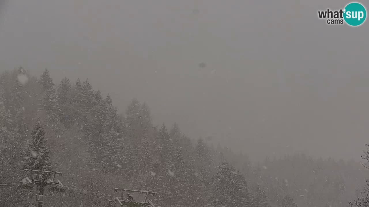 Ski Kranjska Gora | Velika Dolina