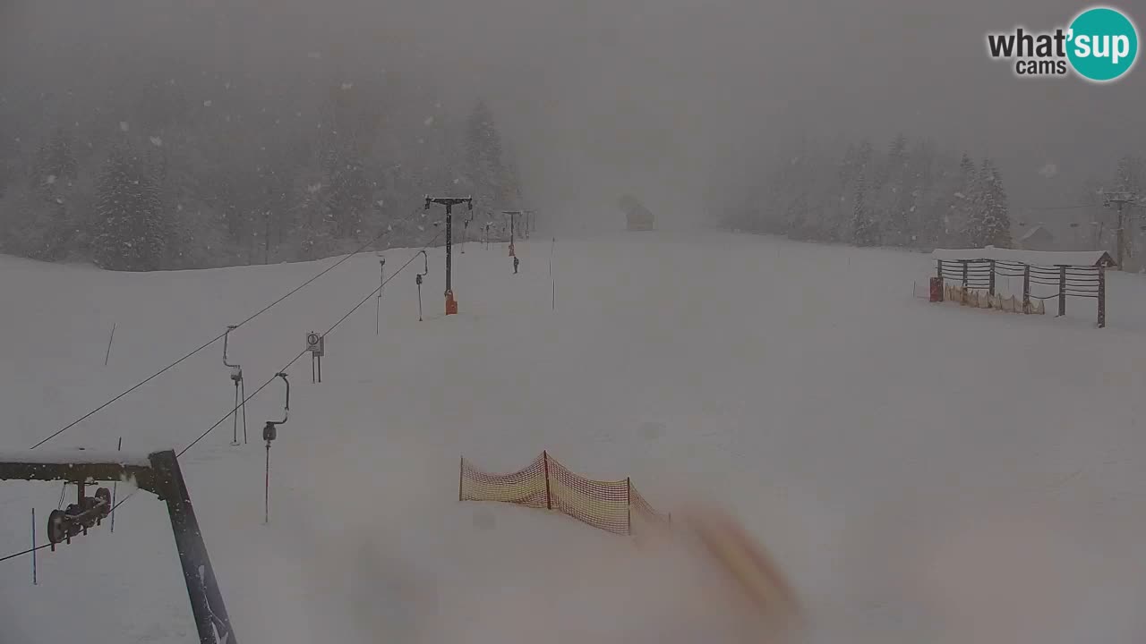 Ski Kranjska Gora | Velika Dolina