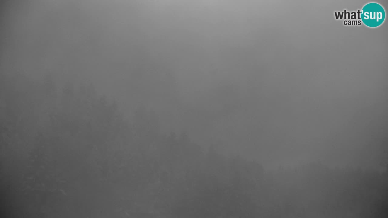 RTC Kranjska Gora | Velika Dolina