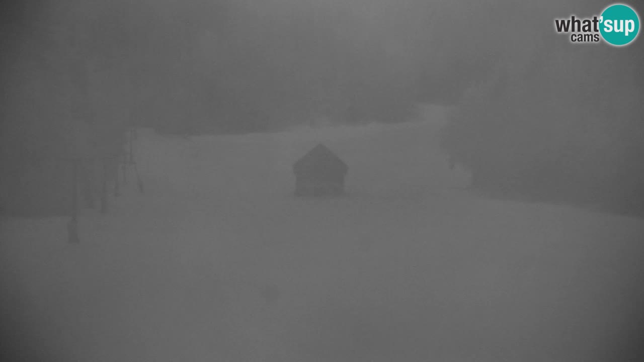 Ski Kranjska Gora | Velika Dolina