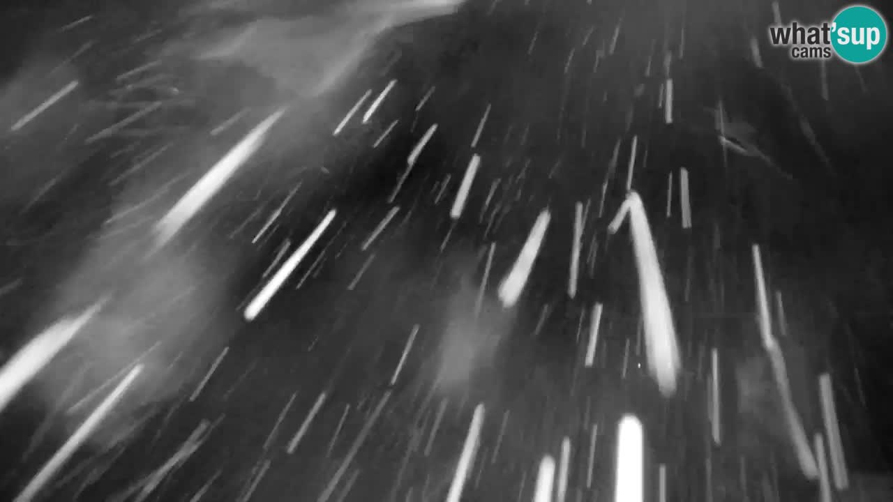 Estación de esquí Kranjska Gora | Velika Dolina