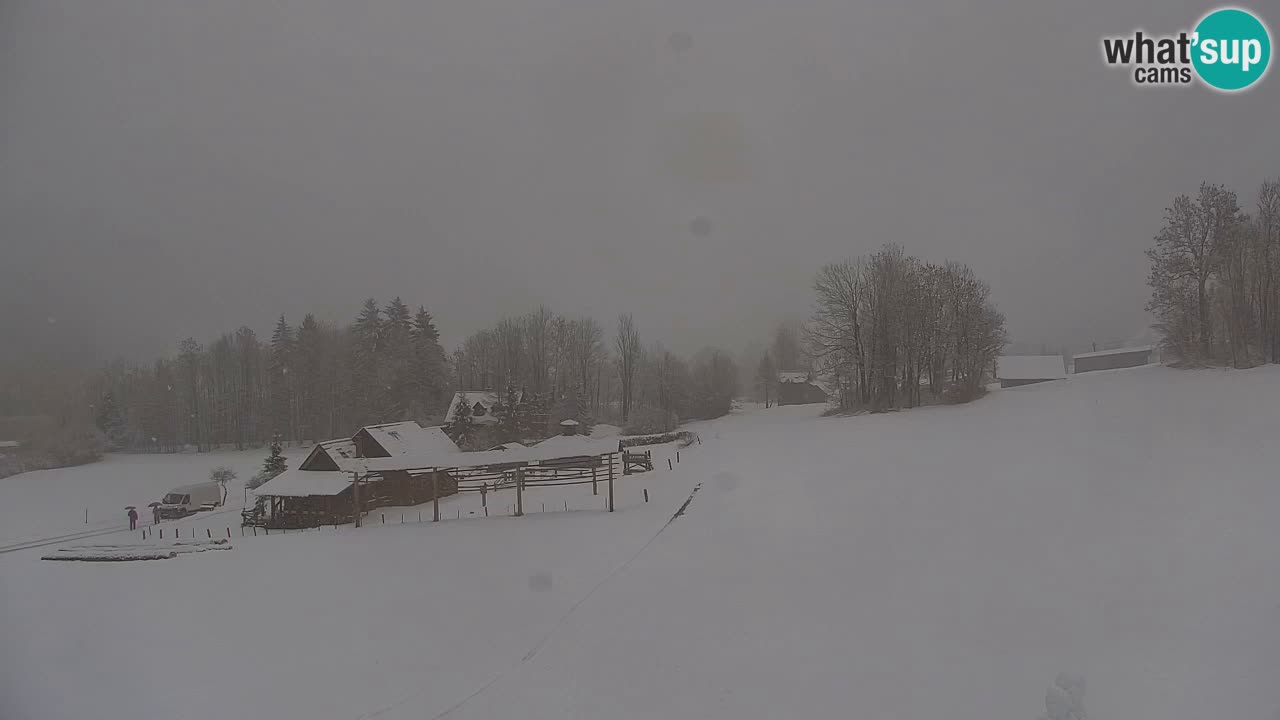 Skigebiet Kranjska Gora | Velika Dolina
