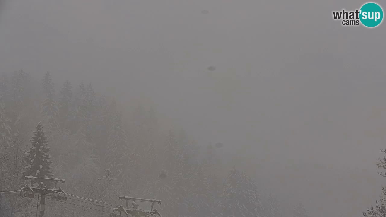 Skigebiet Kranjska Gora | Velika Dolina