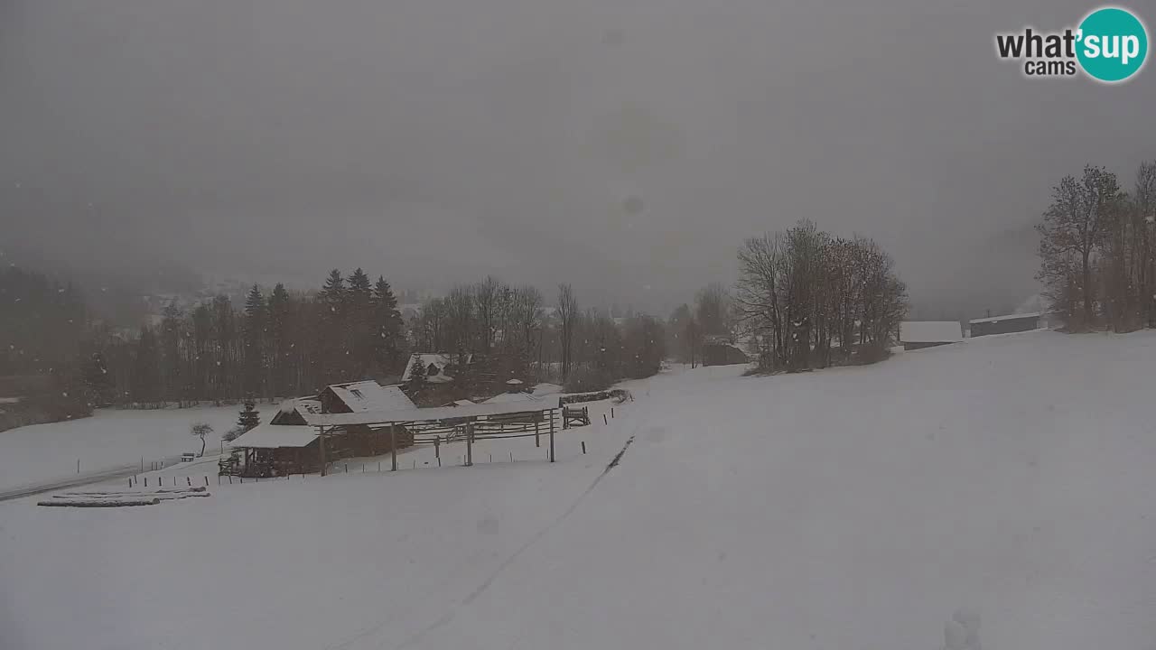 Kranjska Gora | Velika Dolina