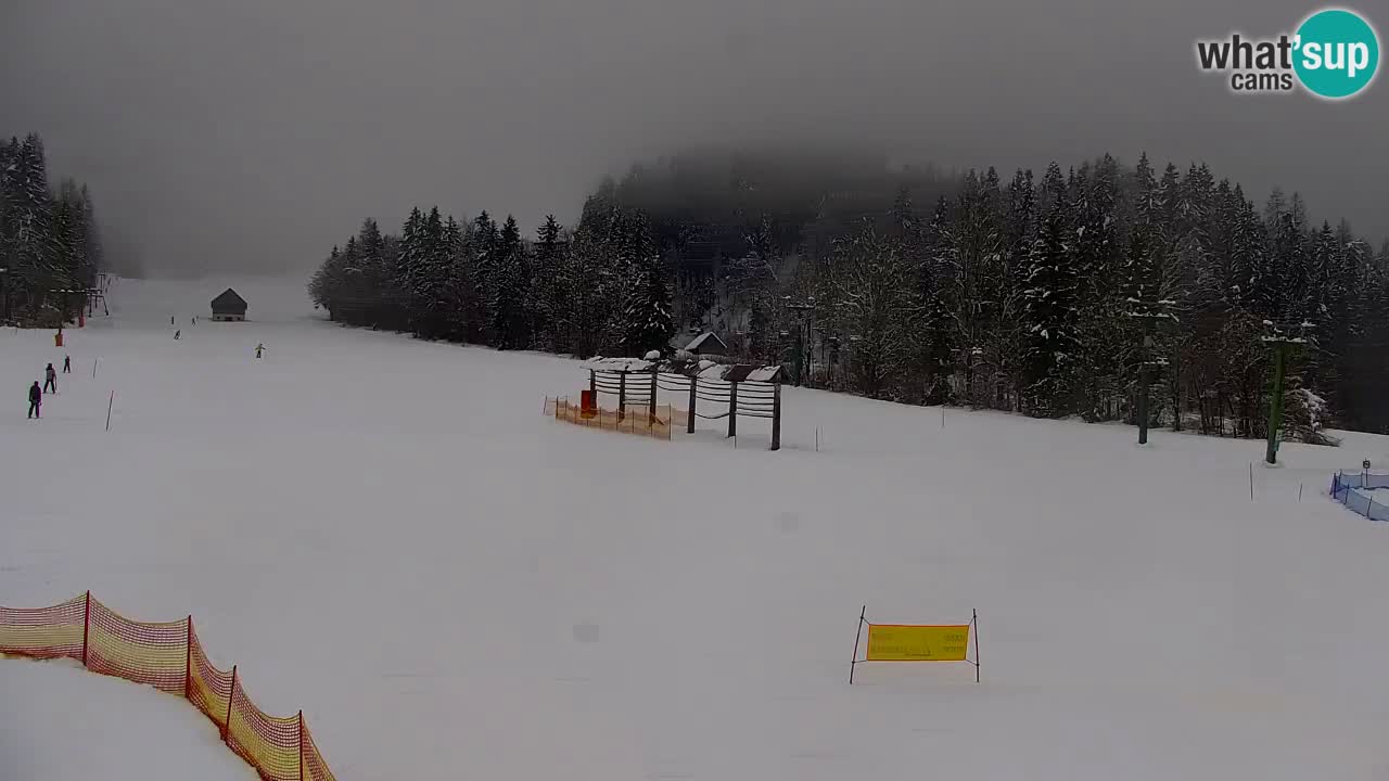 Kranjska Gora | Velika Dolina