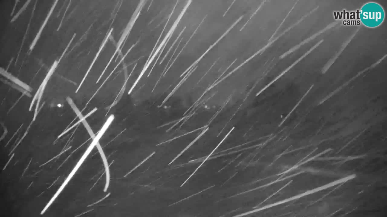 Kranjska Gora | Velika Dolina