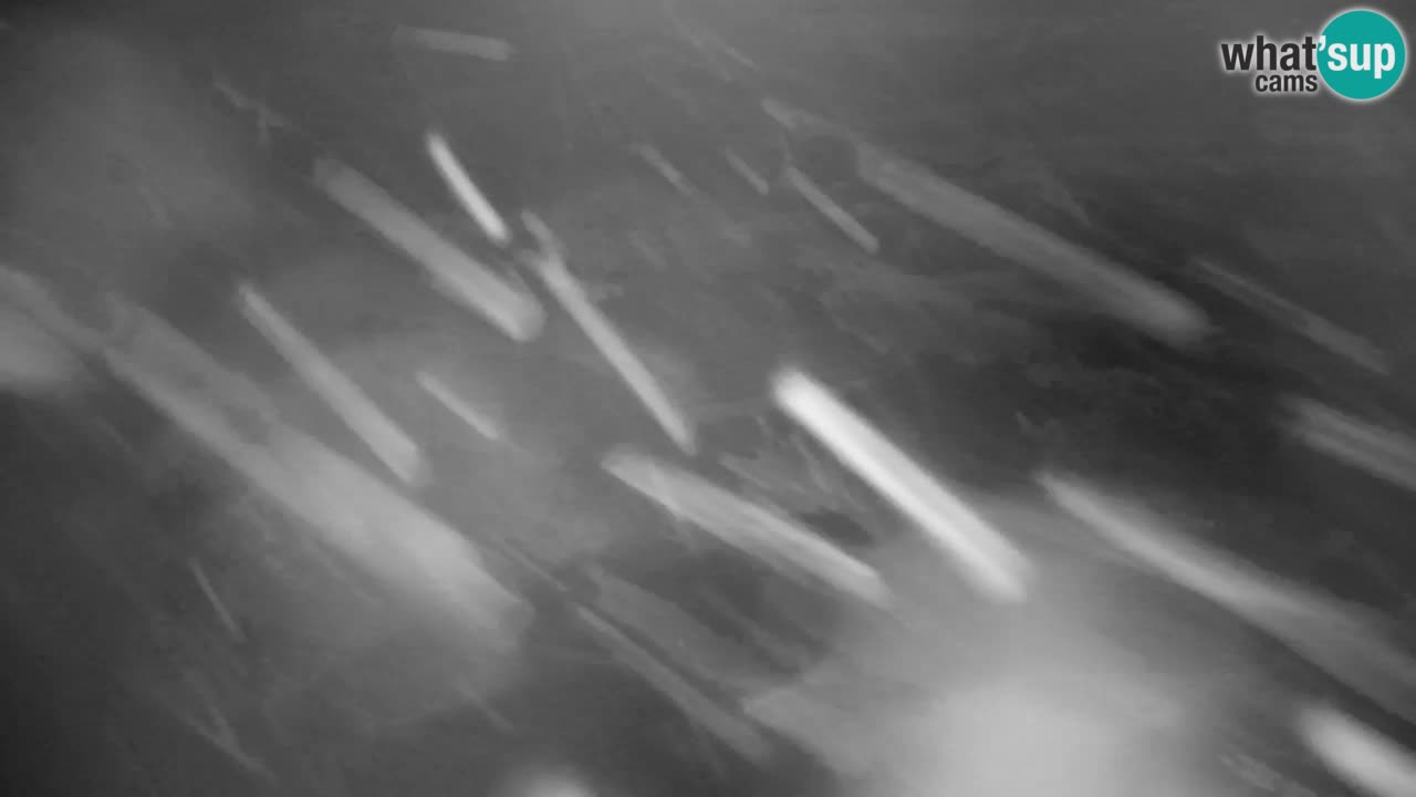 RTC Kranjska Gora | Velika Dolina