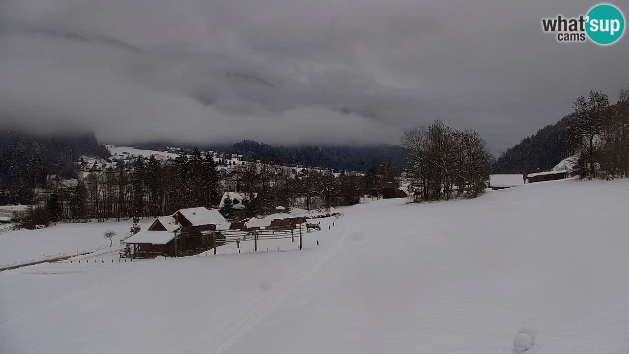 RTC Kranjska Gora | Velika Dolina
