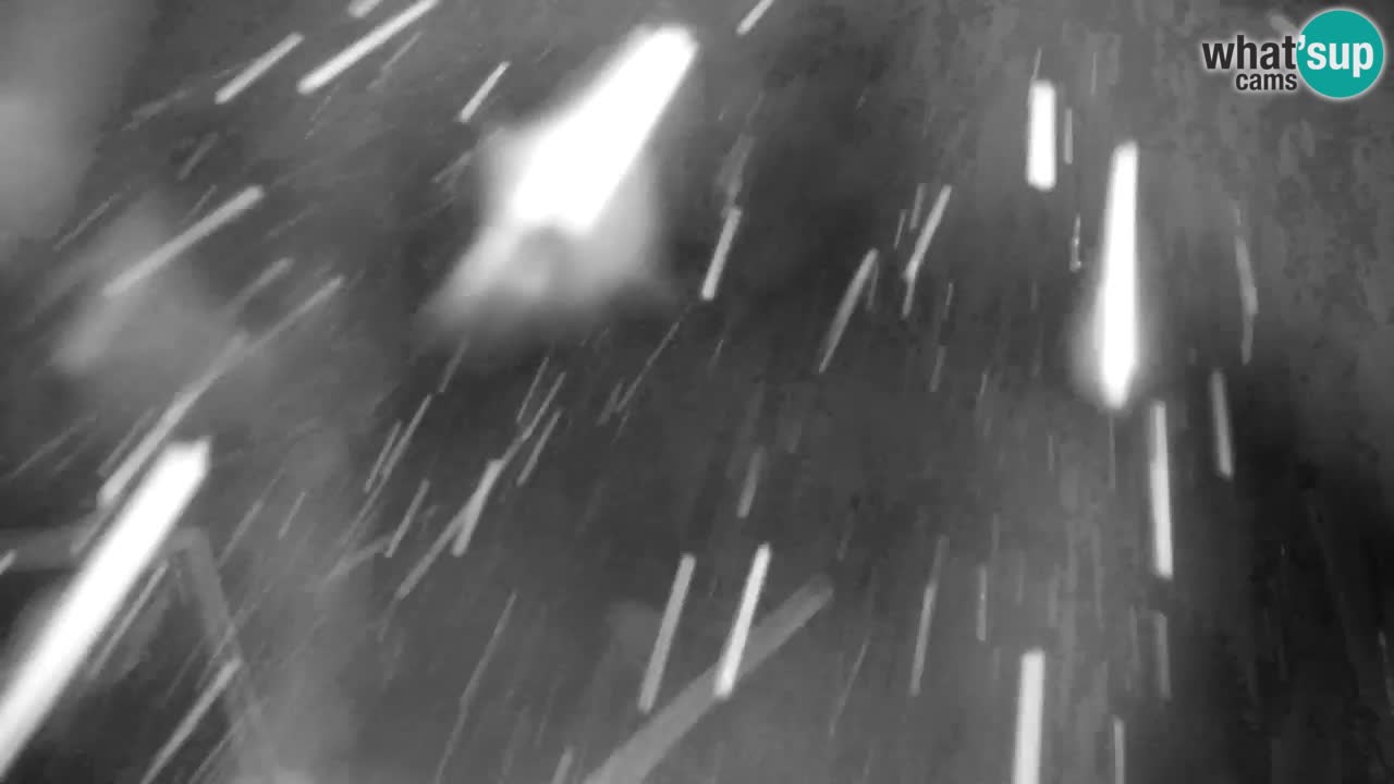 Skigebiet Kranjska Gora | Velika Dolina