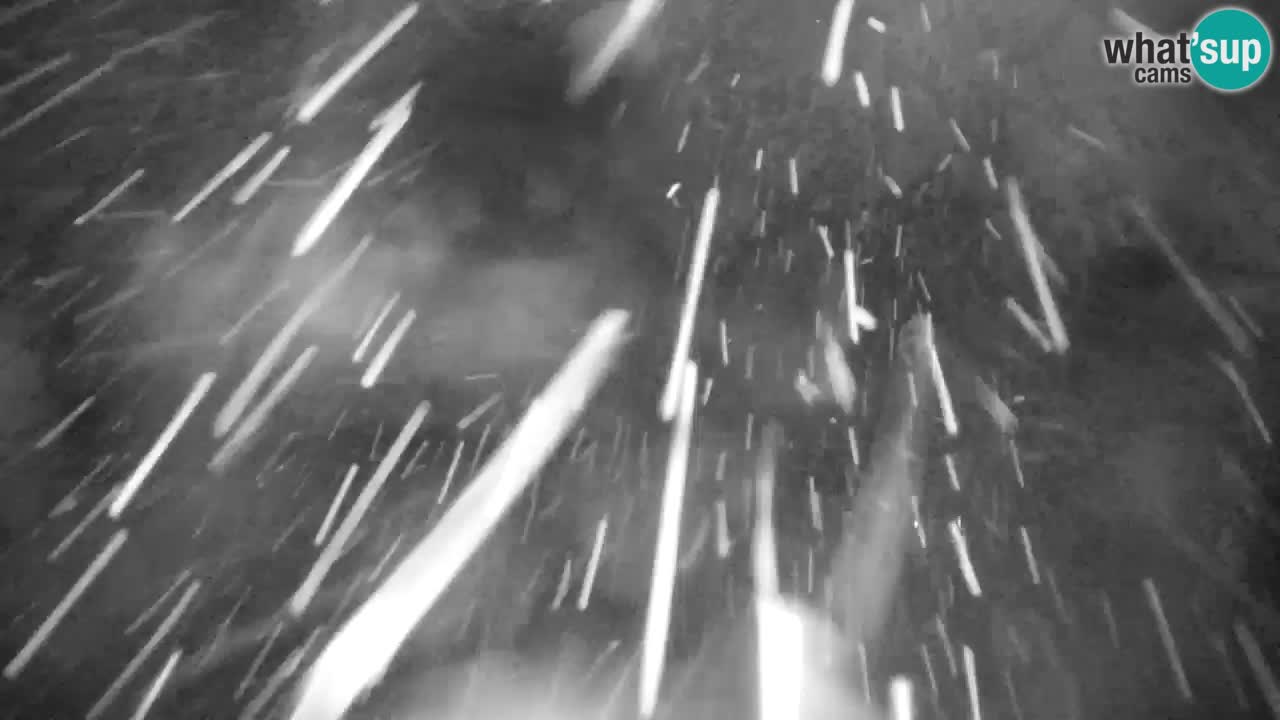 Kranjska Gora | Velika Dolina