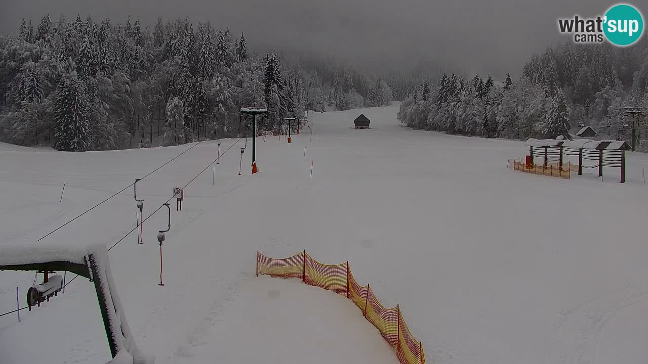 Estación de esquí Kranjska Gora | Velika Dolina