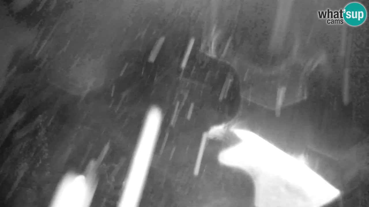 Ski Kranjska Gora | Velika Dolina