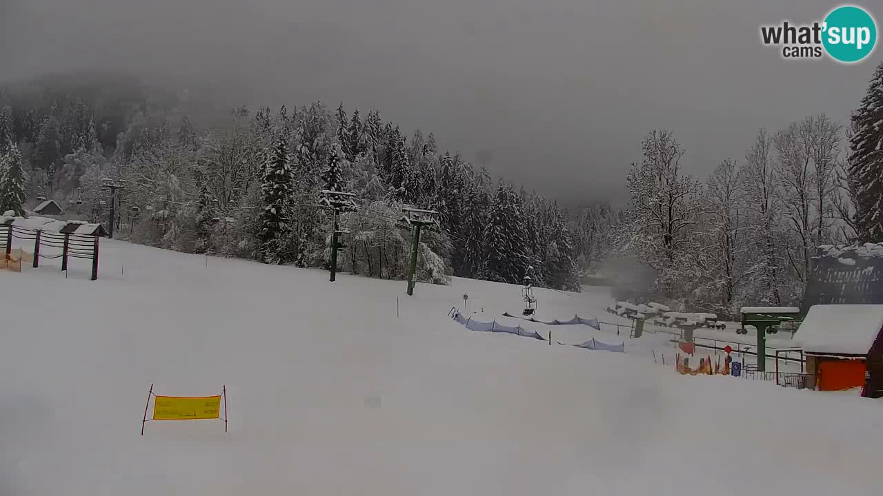 Ski Kranjska Gora | Velika Dolina