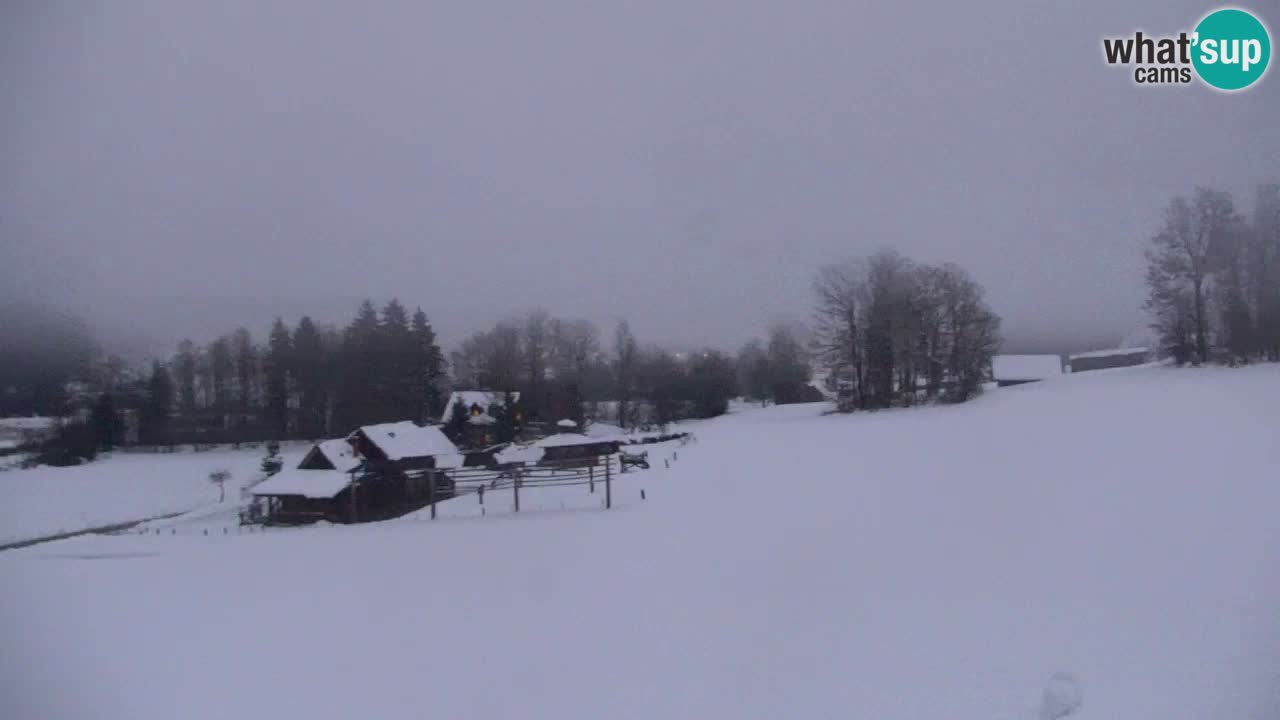 Kranjska Gora | Velika Dolina