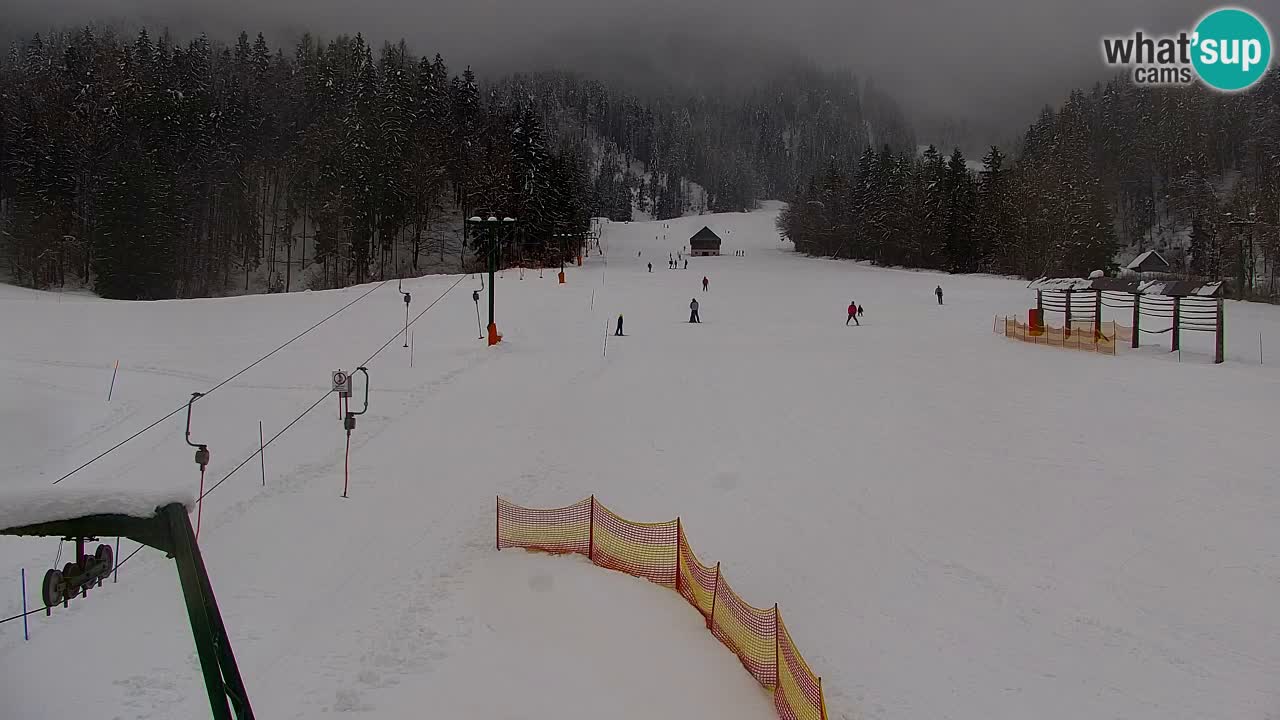 Skigebiet Kranjska Gora | Velika Dolina