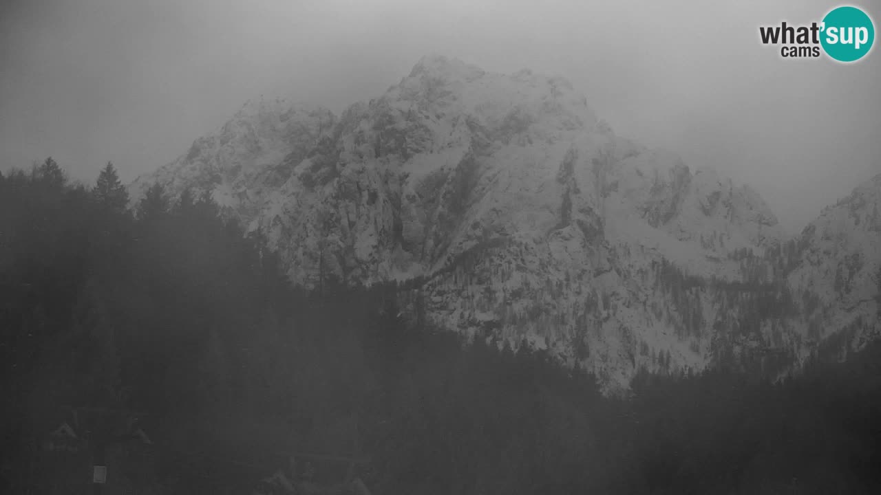 Skigebiet Kranjska Gora | Velika Dolina