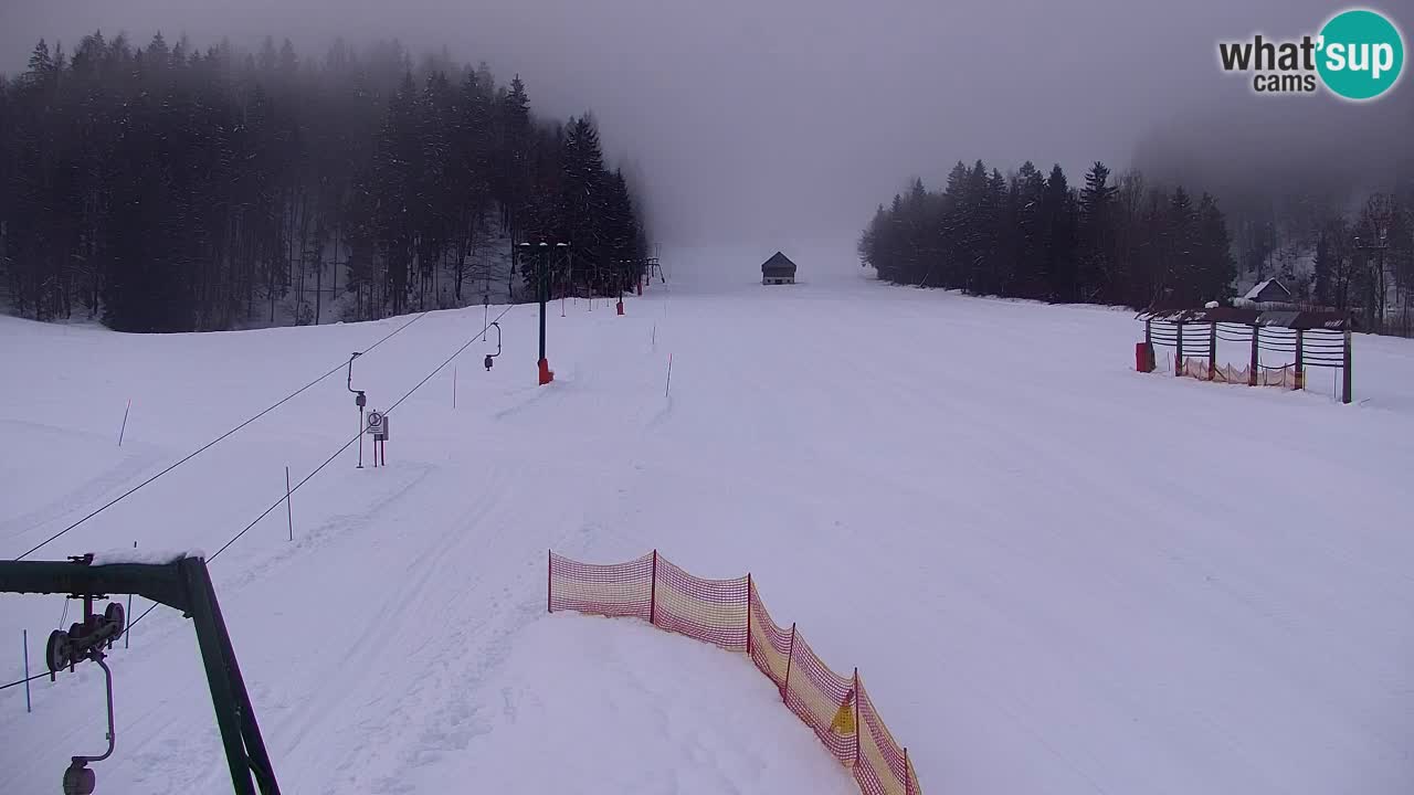 Ski Kranjska Gora | Velika Dolina