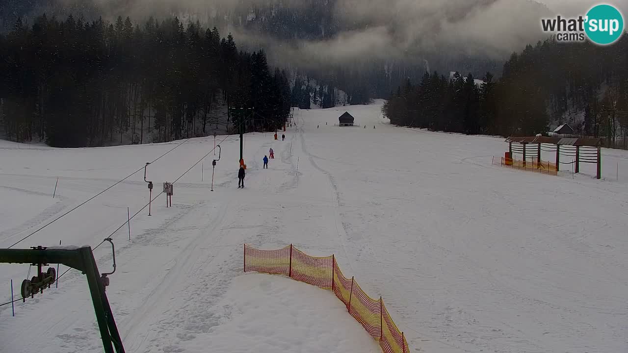 Skigebiet Kranjska Gora | Velika Dolina