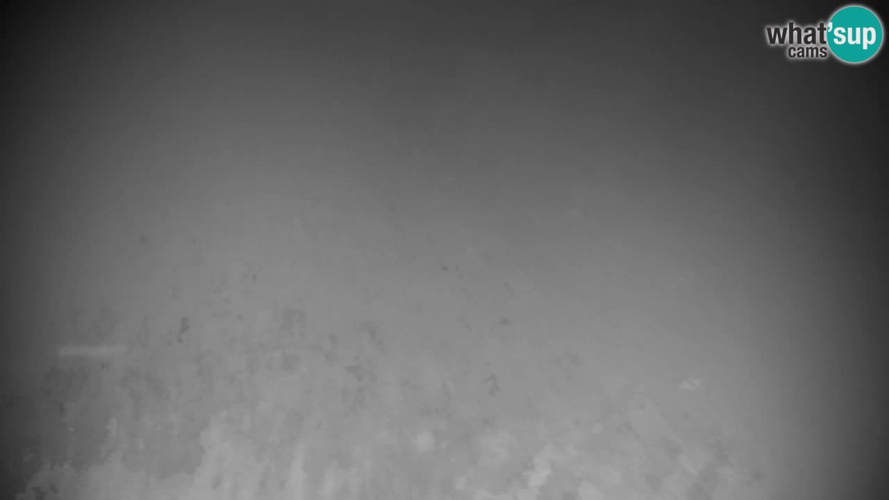 Skigebiet Kranjska Gora | Velika Dolina