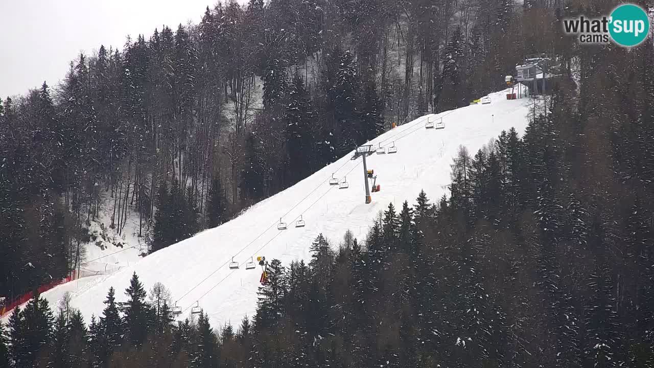 Skigebiet Kranjska Gora | Velika Dolina