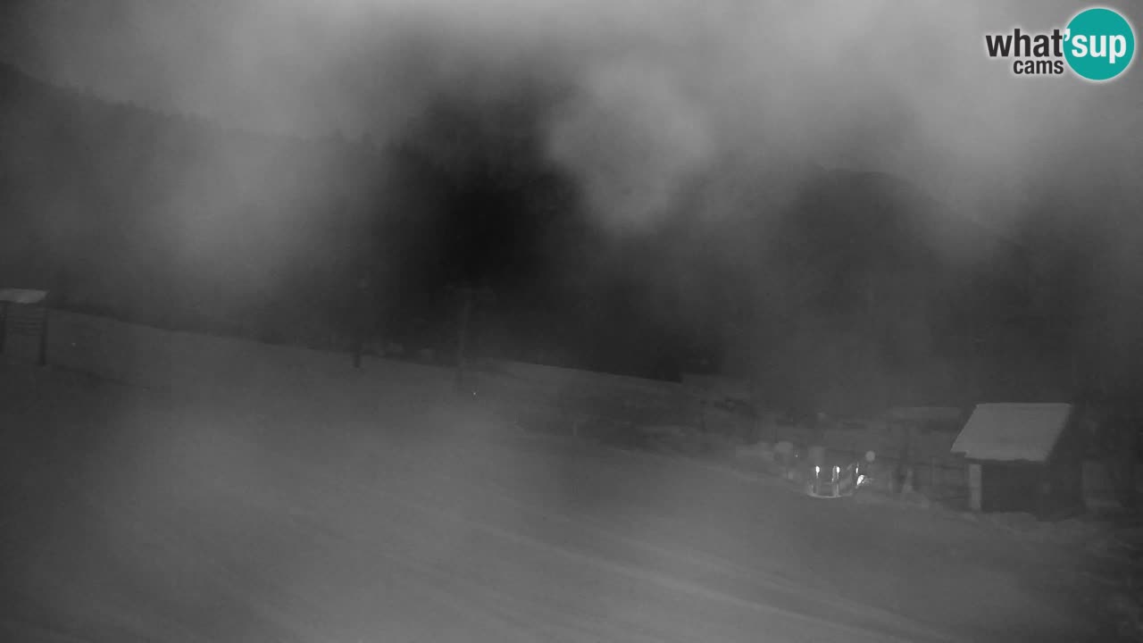 Skigebiet Kranjska Gora | Velika Dolina