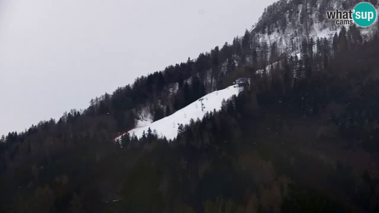 Station de ski Kranjska Gora | Velika Dolina