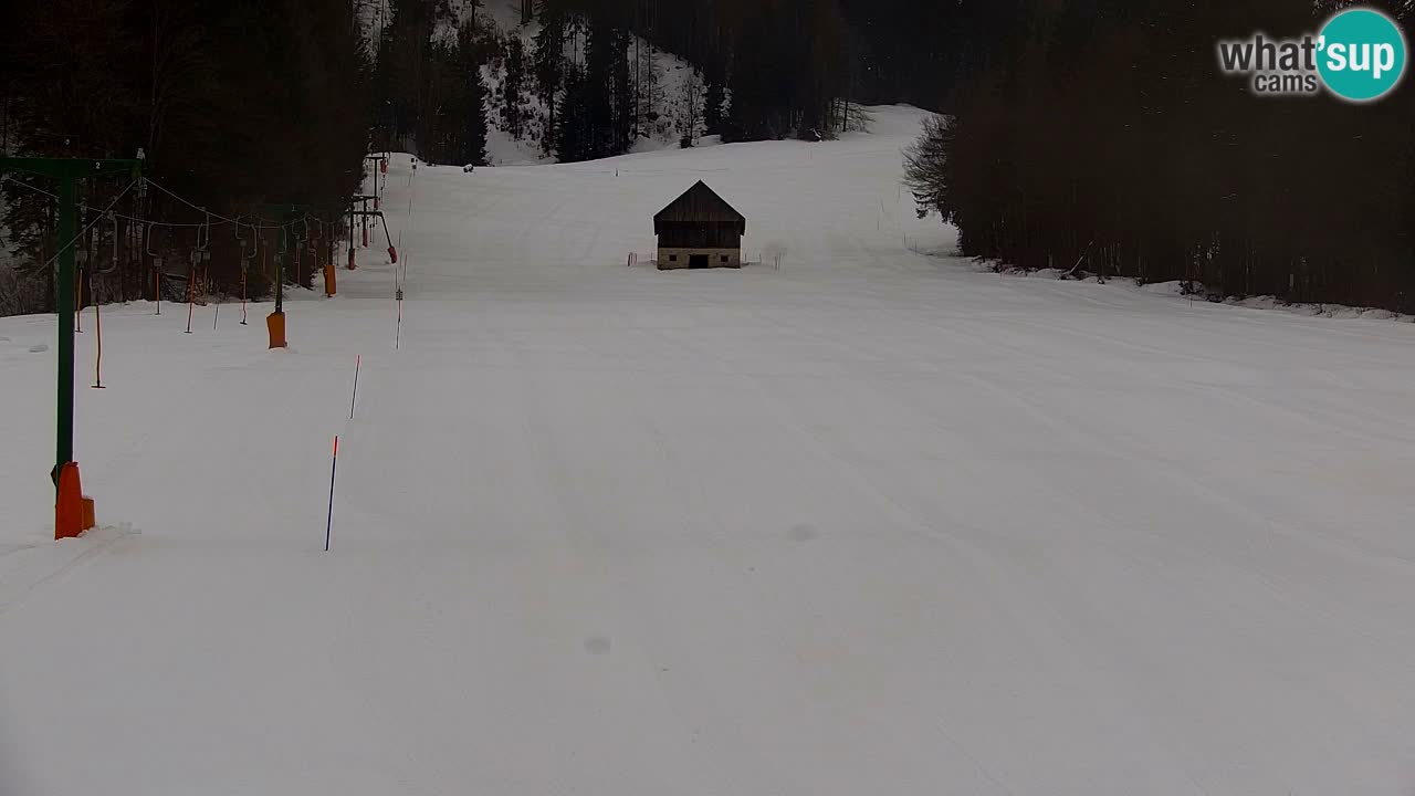 Station de ski Kranjska Gora | Velika Dolina