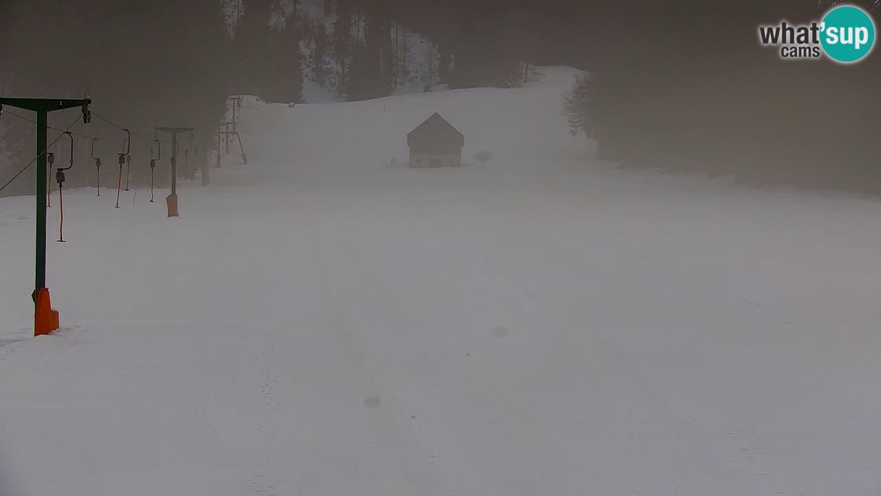Estación de esquí Kranjska Gora | Velika Dolina