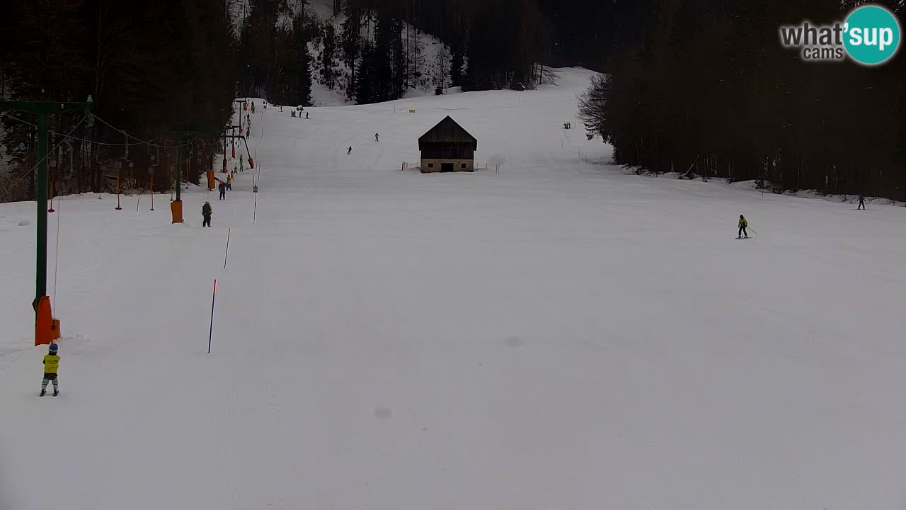 Estación de esquí Kranjska Gora | Velika Dolina
