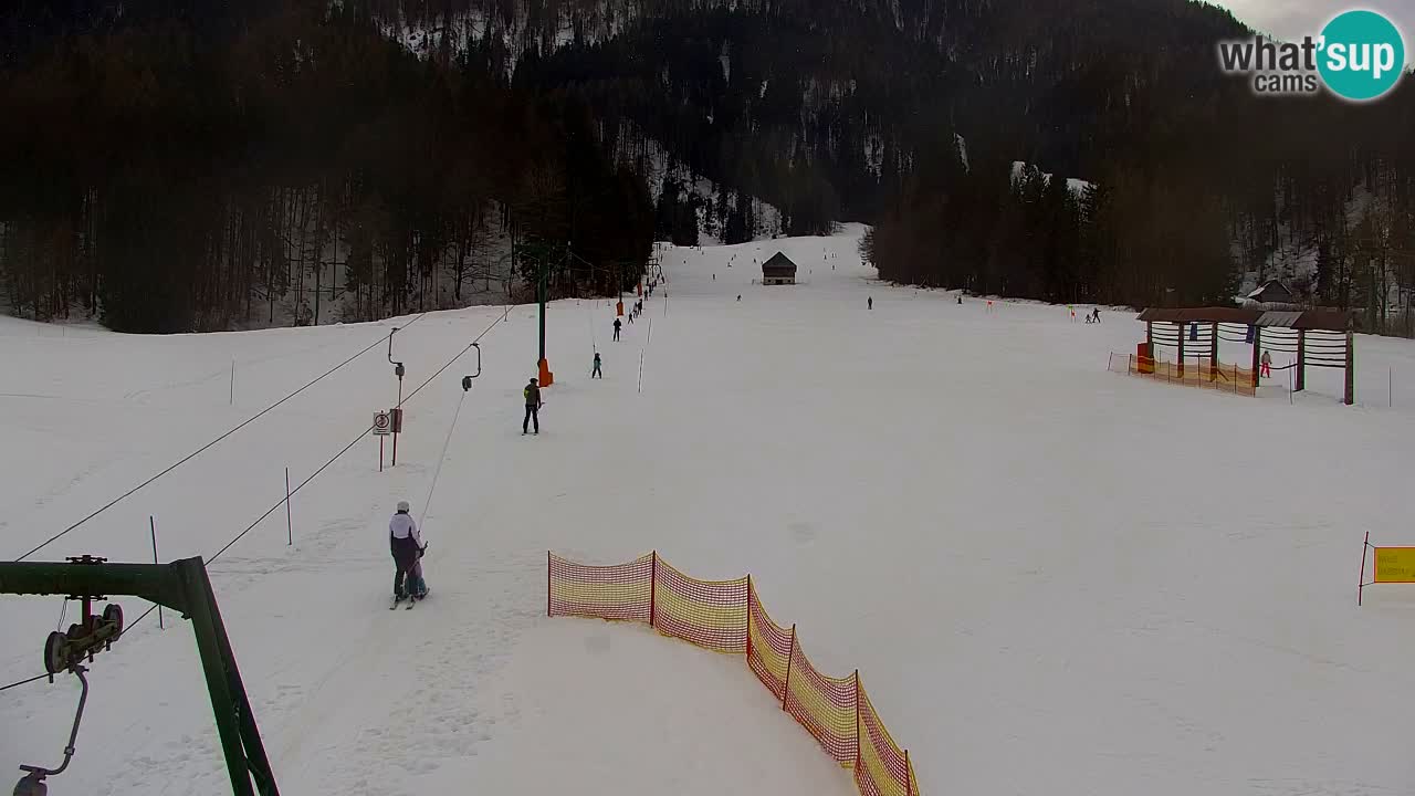 Station de ski Kranjska Gora | Velika Dolina