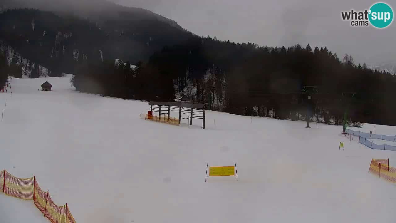 Station de ski Kranjska Gora | Velika Dolina