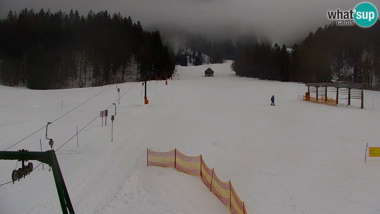 RTC Kranjska Gora | Velika Dolina