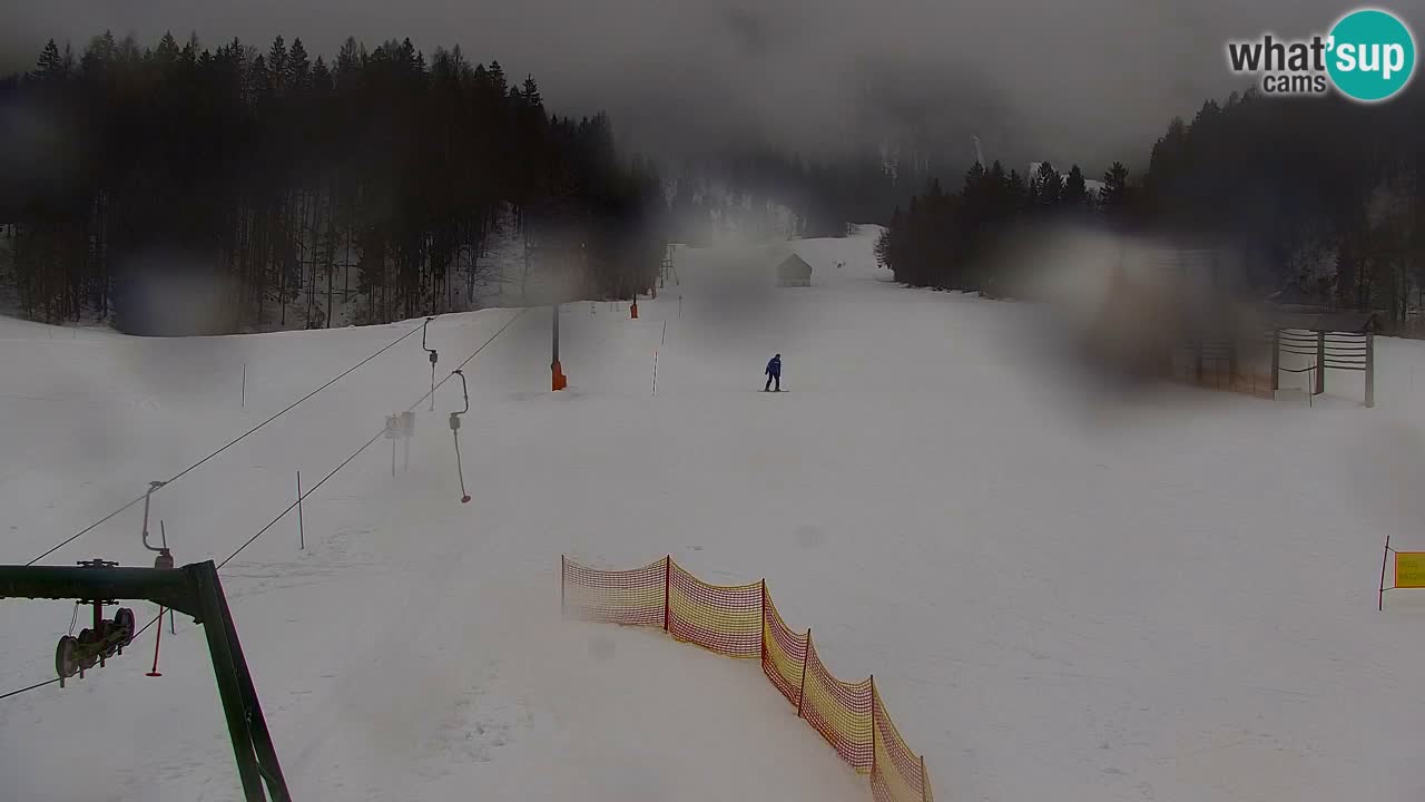 Ski Kranjska Gora | Velika Dolina