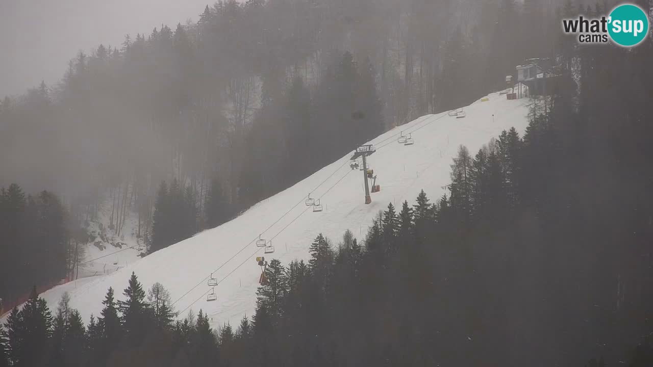 RTC Kranjska Gora | Velika Dolina