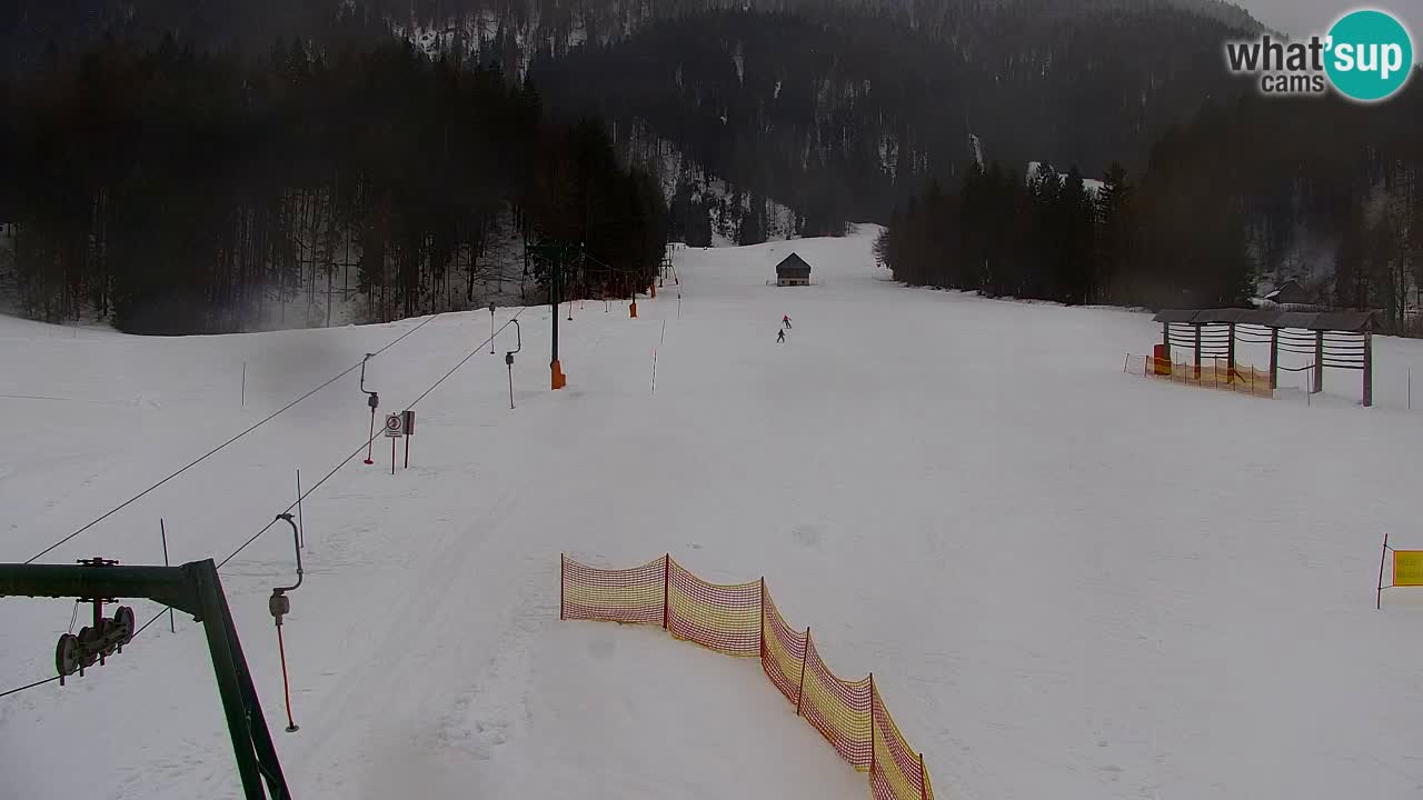 Kranjska Gora | Velika Dolina