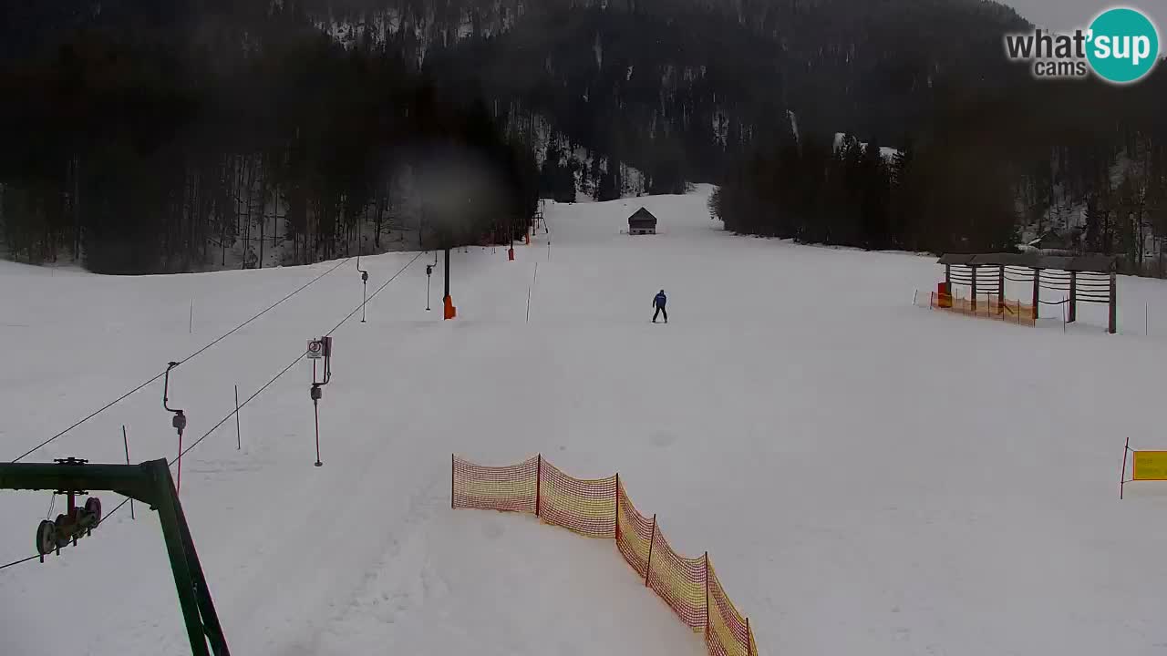 RTC Kranjska Gora | Velika Dolina