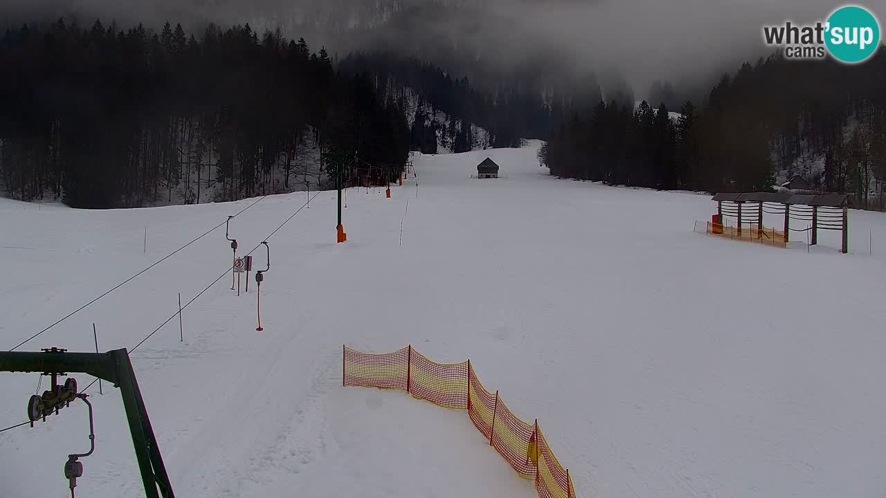 Skijanje Kranjska Gora | Velika Dolina