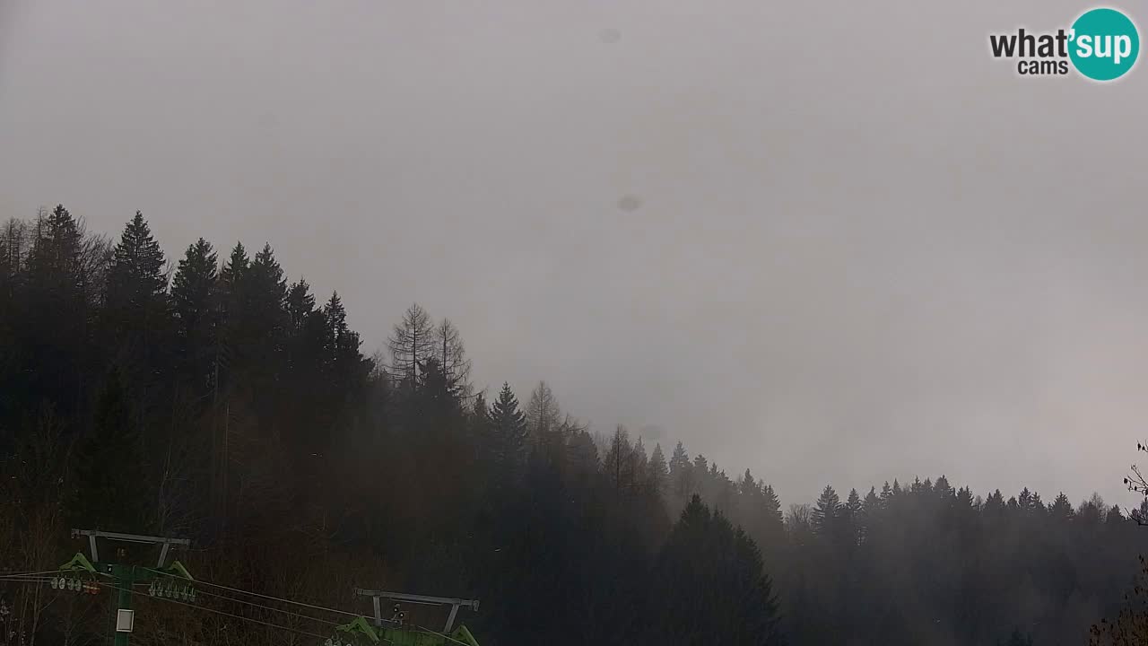 Skigebiet Kranjska Gora | Velika Dolina