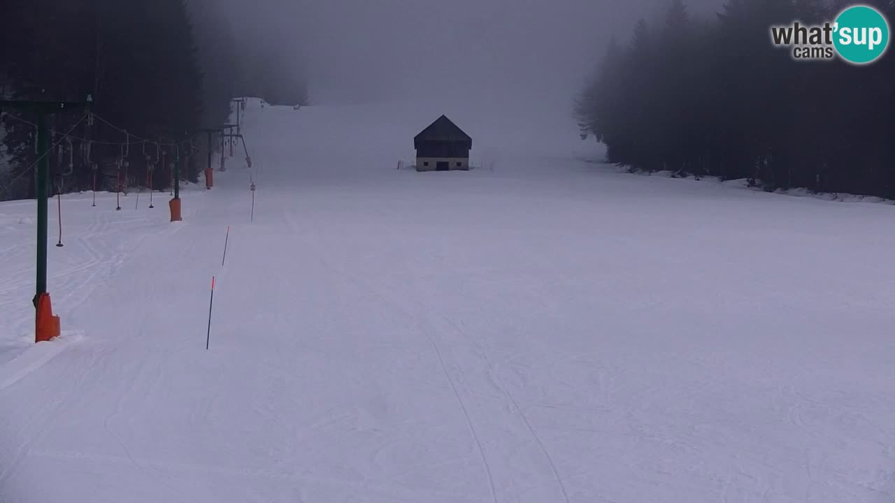 Skigebiet Kranjska Gora | Velika Dolina
