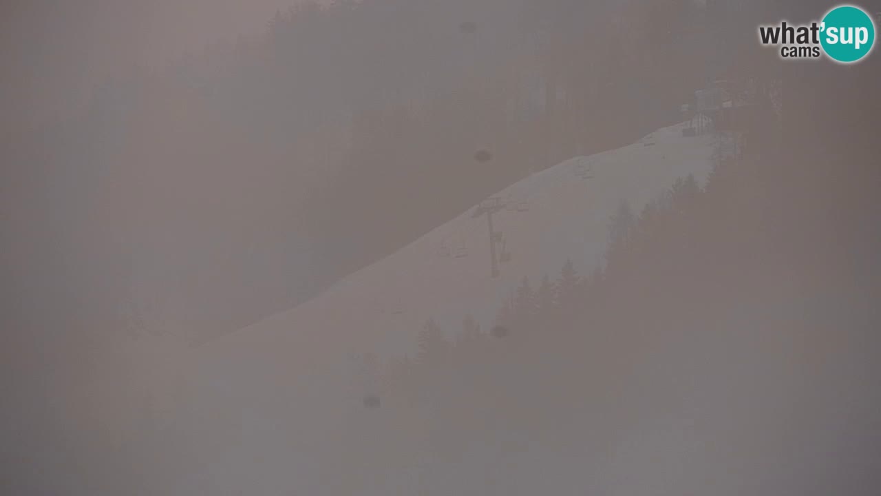 Skigebiet Kranjska Gora | Velika Dolina