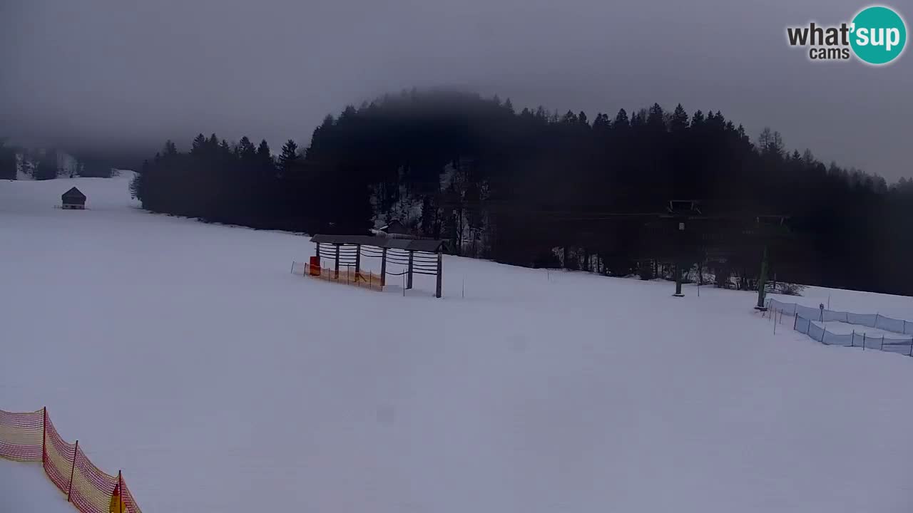 Skijanje Kranjska Gora | Velika Dolina