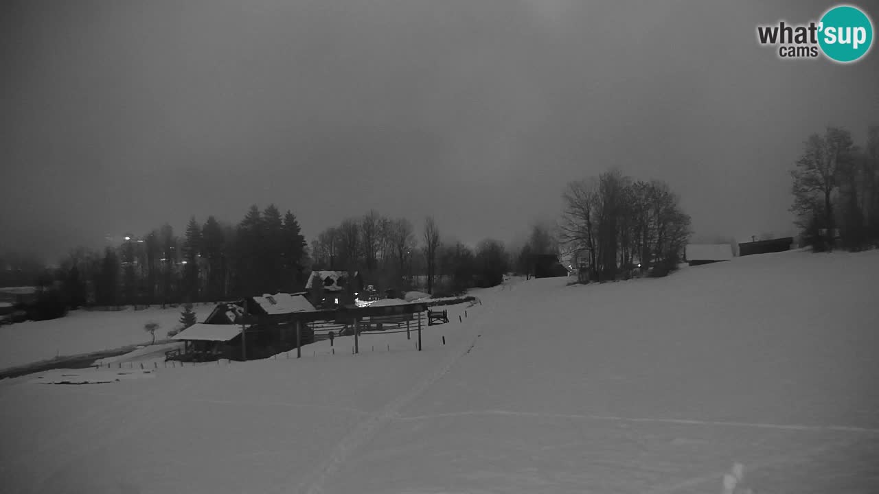 RTC Kranjska Gora | Velika Dolina