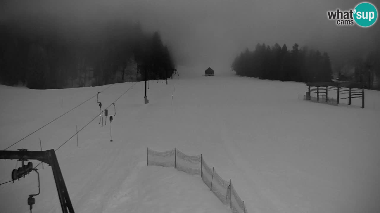 Estación de esquí Kranjska Gora | Velika Dolina
