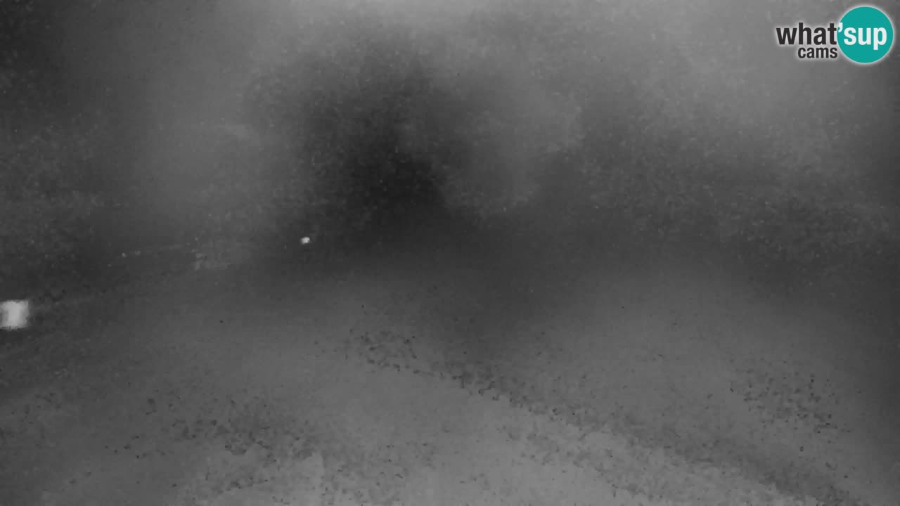 Ski Kranjska Gora | Velika Dolina